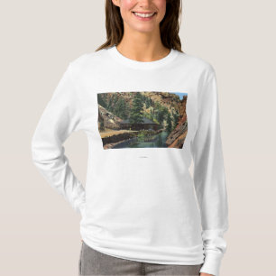 Colorado Springs, Co - Forelle T-Shirt