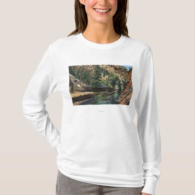 Colorado Springs, Co - Forelle T-Shirt (Vorderseite)