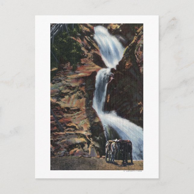 Colorado Springs, CO - Untere Drei Wasserfälle Postkarte (Vorderseite)