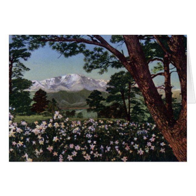 Colorado Springs Colorado Pikes Peak (Vorderseite (Horizontal))