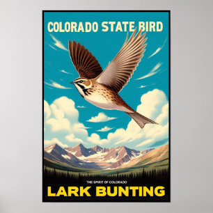 Colorado Staat Bird - Lark Bunting Vintag Poster