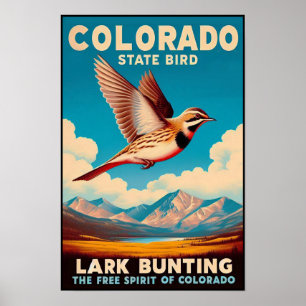 Colorado Staat Bird - Lark Bunting Vintag Poster