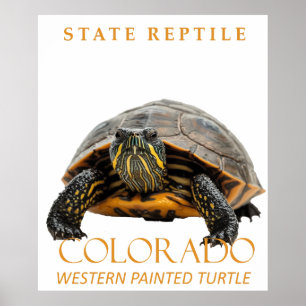 Colorado-Territorium Reptilien Western-Schmuckschi Poster