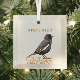 Colorado-Territoriumsvogel Die Lerchenammer Ornament Aus Glas