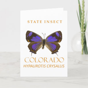 Colorado Territory Insekt Der Haarstreak-Schmetter Feiertagskarte