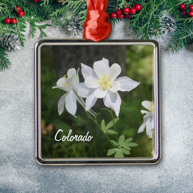 Colorado White Columbine Weihnachtsschmuck (Von Creator hochgeladen)