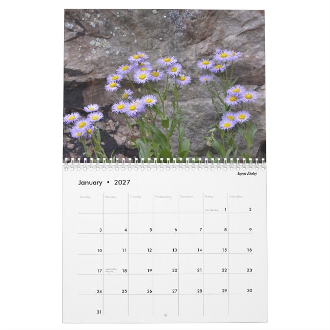 Colorado-Wildblumen Kalender (Jan 2027)
