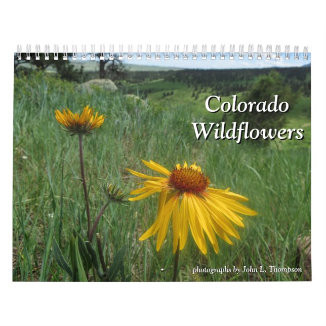 Colorado-Wildblumen Kalender (Titelbild)