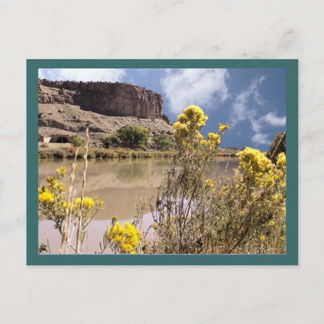 Colorado Wildblumen Postkarte (Vorderseite)