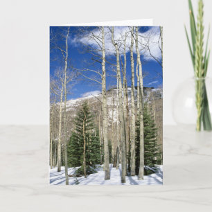 Colorado Wilderness Karte