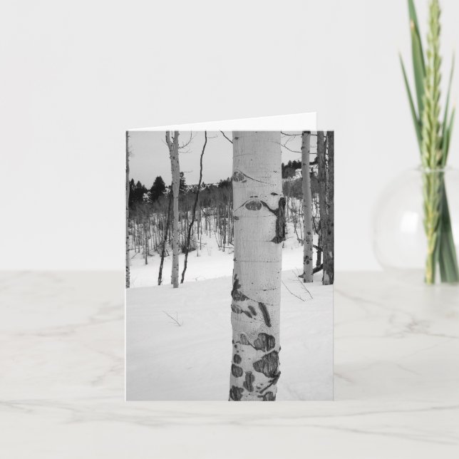 Colorado Winter Aspen Tree Karte (Vorderseite)