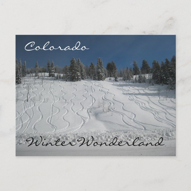 Colorado Winterwunderland Postkarte (Vorderseite)