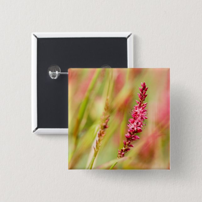 Colore Button (Vorne & Hinten)