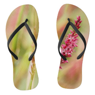Colore Flip Flops