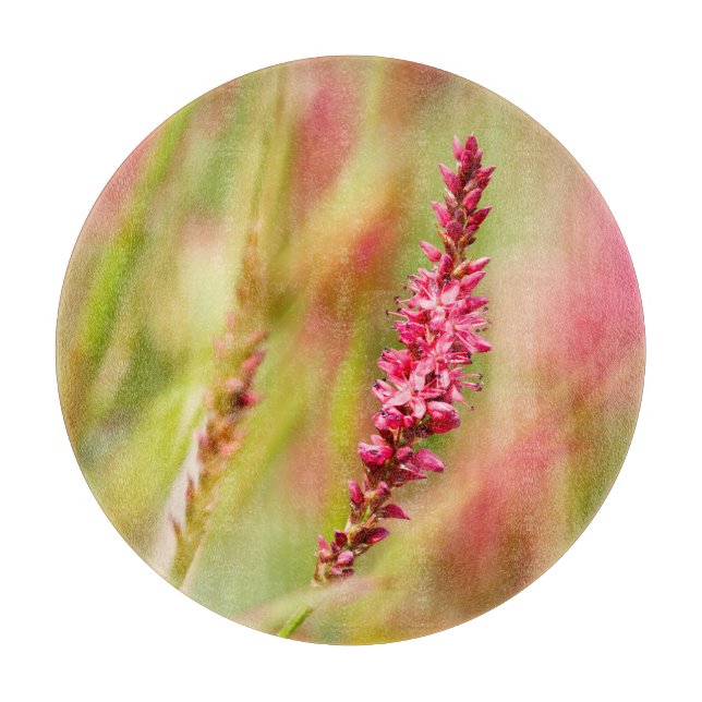 Colore Schneidebrett (Vorderseite)