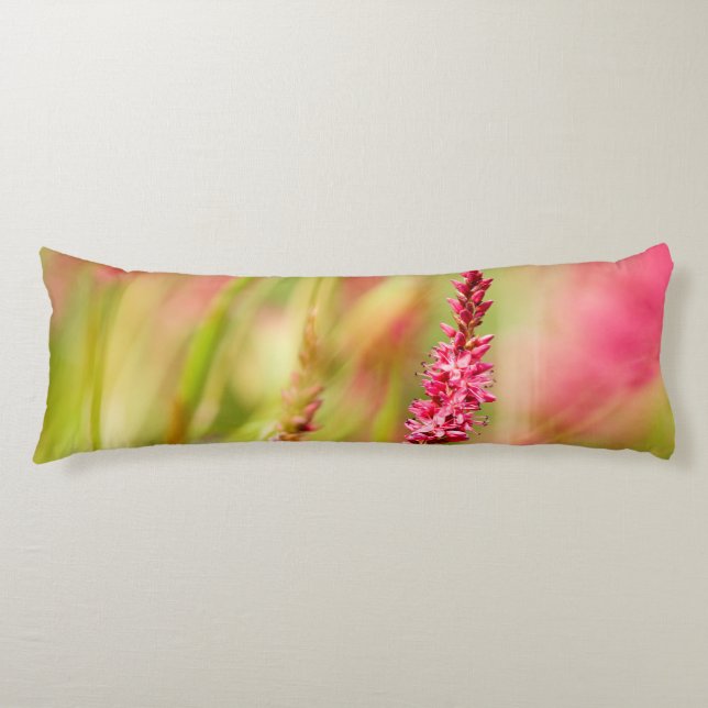 Colore Seitenschläferkissen (Vorderseite)