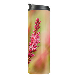 Colore Thermosbecher