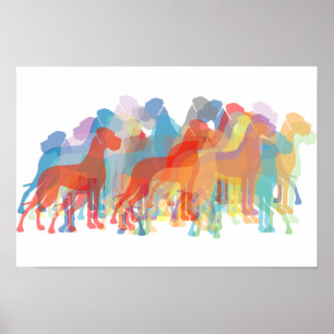 Colored Danes Poster