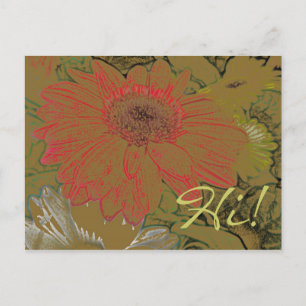 Colorful African Daisies Hi! Postkarte