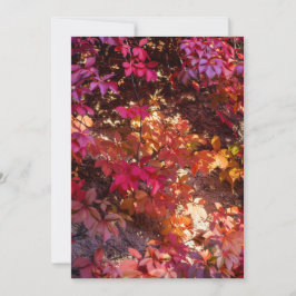 Colorful autumn leaves feiertagskarte