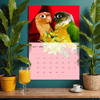 Colorful Bird Quirky Owl Eagle Toucan Parrot Vol 2 Kalender