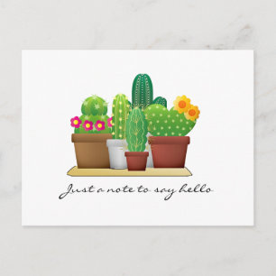 Colorful Cactus Garden / Hello Postcard Postkarte
