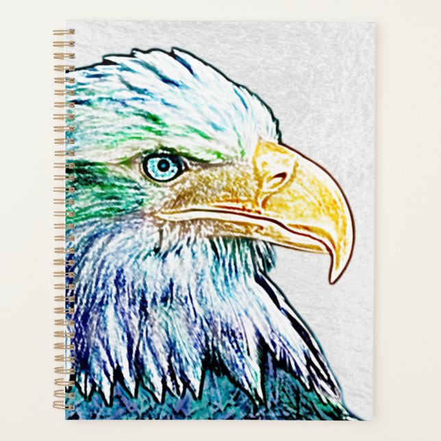 Colorful Eagle Sketch Planer (Vorderseite)