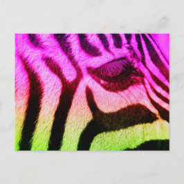 Colorful Funky Zebra Postkarte