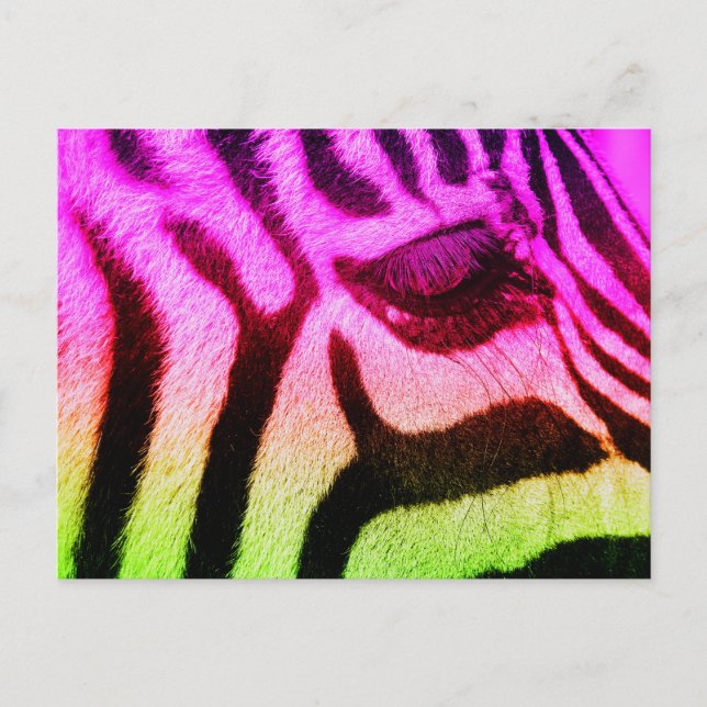 Colorful Funky Zebra Postkarte (Vorderseite)