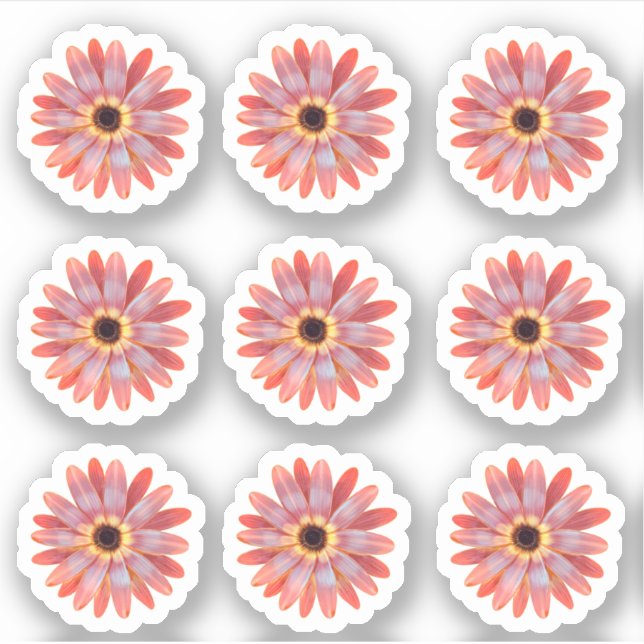 Colorful Gerbera Daisy Floral Sticker (Vorderseite)