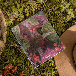 Colorful Hairy Begonia Floral Planer