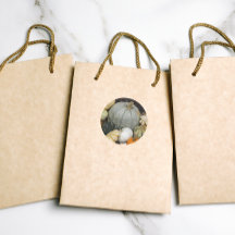 Colorful Harvest Pumpkins