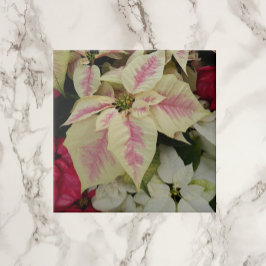 Colorful Holiday Poinsettias Floral Fliese