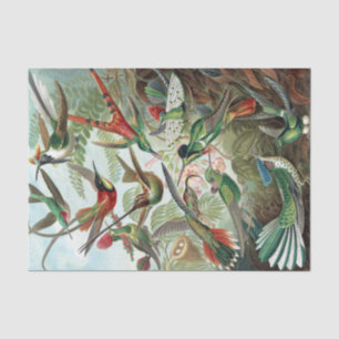 Colorful Hummingbirds von Ernst Haeckel Seidenpapier