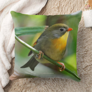 Colorful Leiothrix Pekin Robin Songbird Kissen