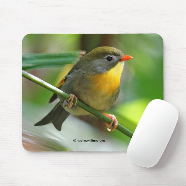 Colorful Leiothrix / Pekin Robin Songbird Mousepad (Mit Mouse)