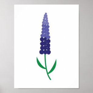 Colorful Maine Lupin Poster