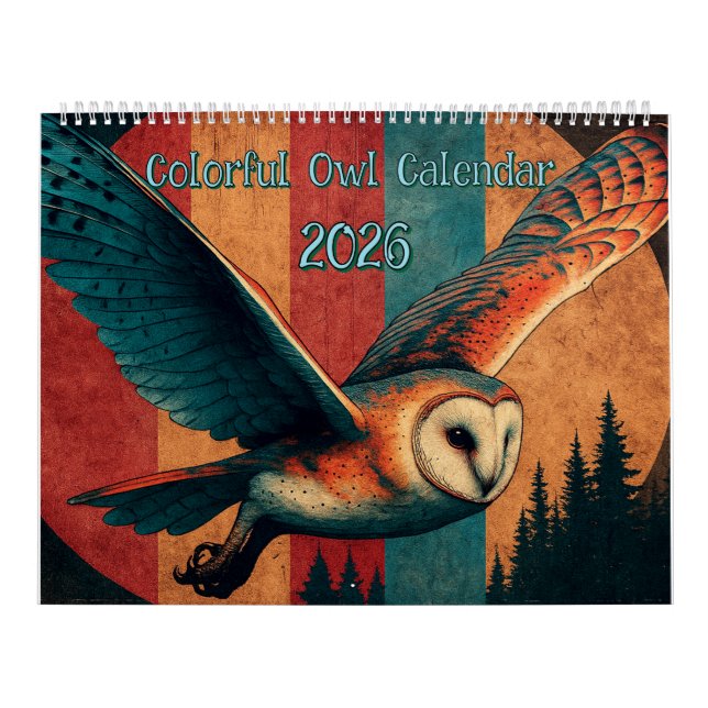 Colorful Owl Calendar 2026 Kalender (Titelbild)