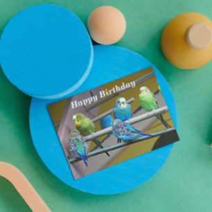 Colorful Parakeets Photo From All Birthday Karte