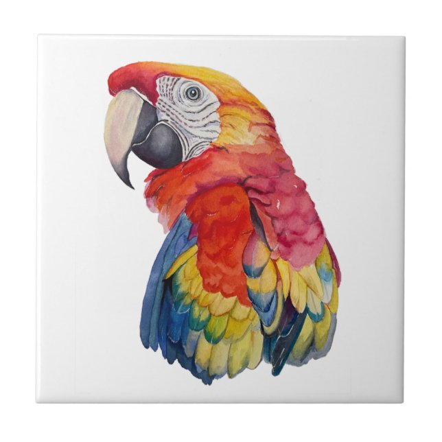 Colorful Parrot Watercolor Illustration Fliese (Vorderseite)