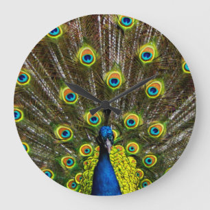 Colorful peacock große wanduhr