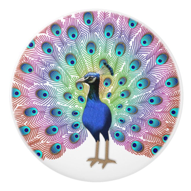 Colorful Peacock Keramikknauf (Vorderseite)