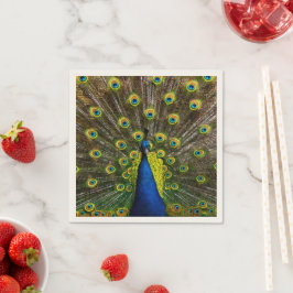 Colorful peacock serviette