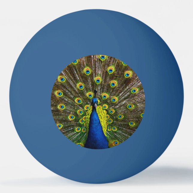 Colorful peacock tischtennisball (Vorderseite)