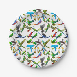 Colorful Pet Parrots Pappteller