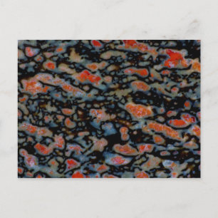 Colorful Petrified Dinosaur Bone Postkarte