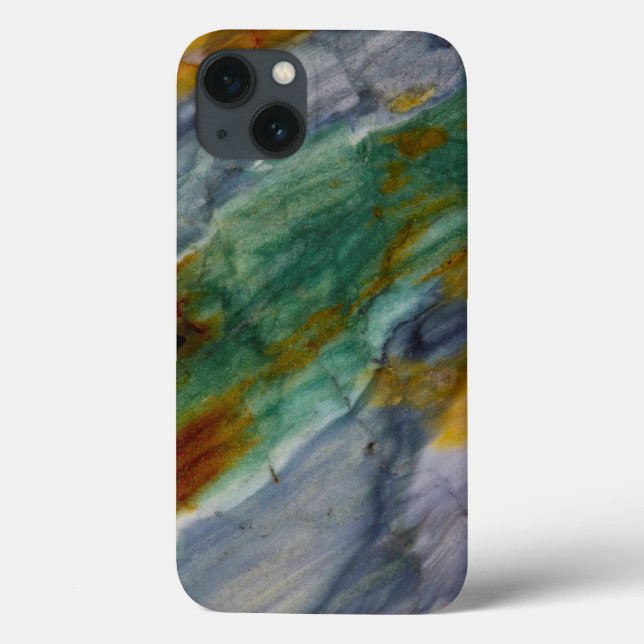 Colorful Piute Jasper Case-Mate iPhone Hülle (Rückseite)