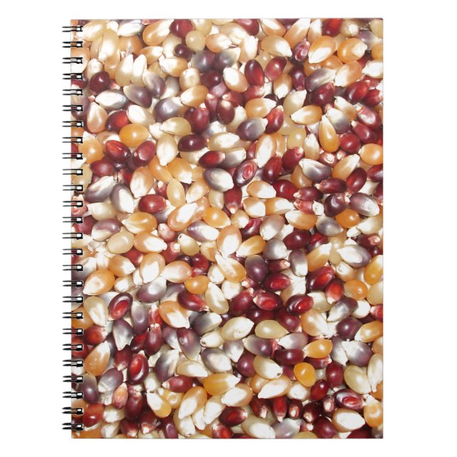 Colorful Popcorn Kernels Notizblock (Vorderseite)
