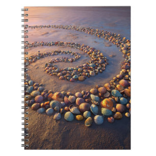 Colorful Seashell Spiral Beach Notebook Notizblock