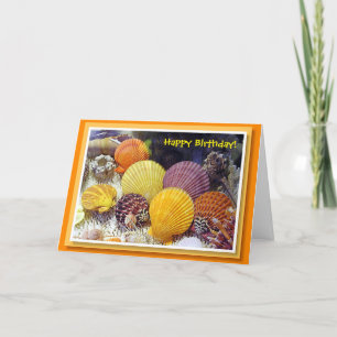 Colorful Shells Birthday Card Karte